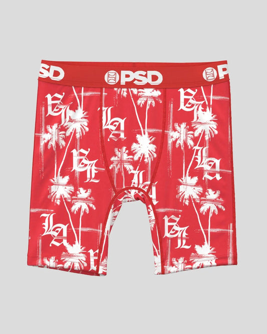 LA Palms Red - Youth Underwear
