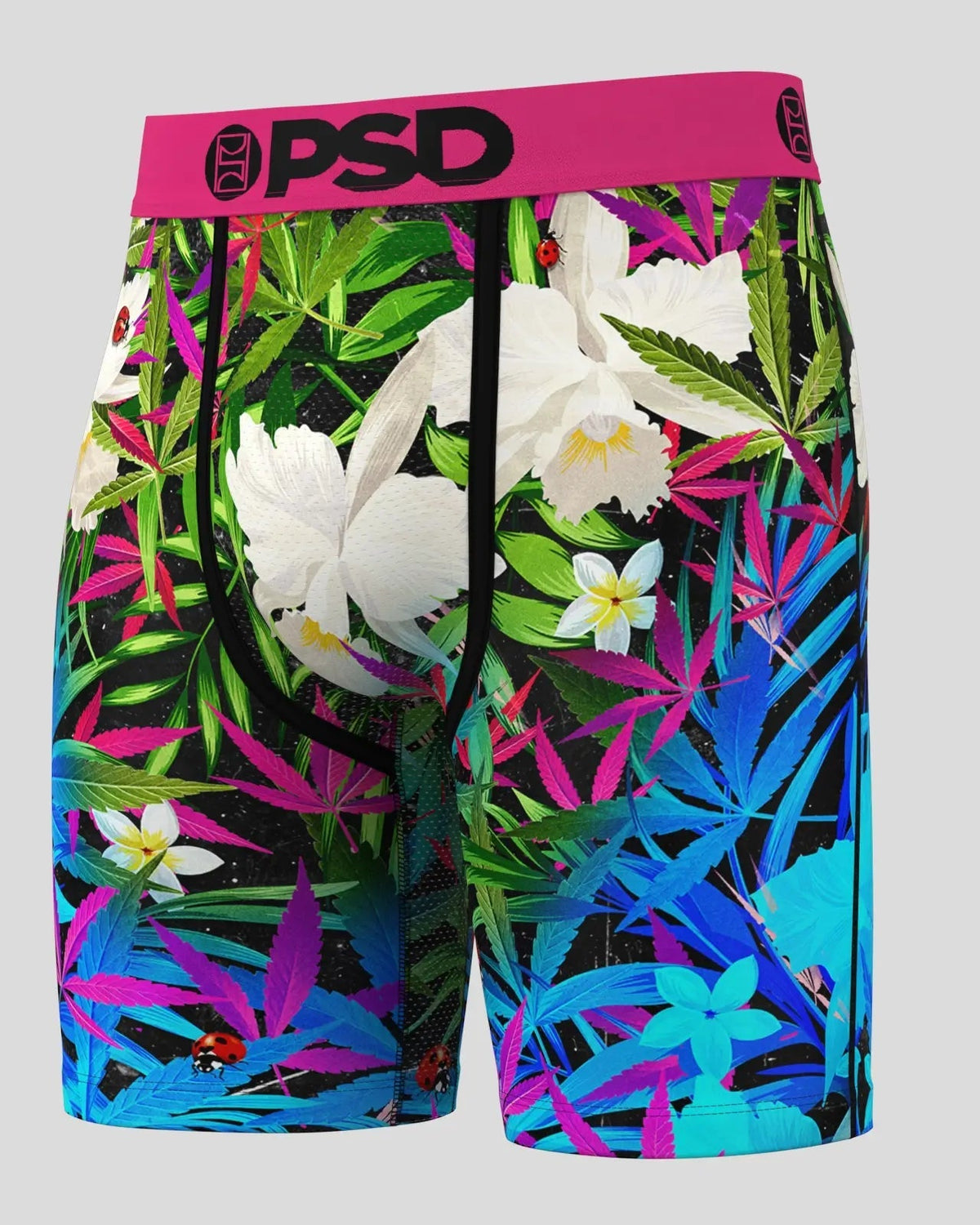 6 Pack - Tropics - Standard Length