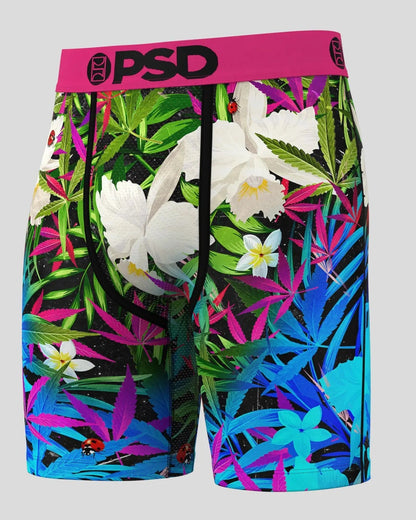 6 Pack - Tropics - Standard Length